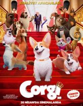 Corgi Hd izle