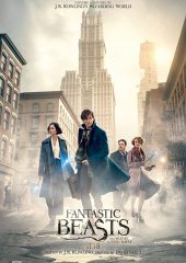 Fantastik Canavarlar Nelerdir Nerede Bulunurlar Hd izle