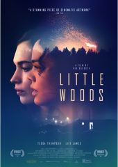 Little Woods Hd izle