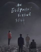 An Elephant Sitting Still Hd izle