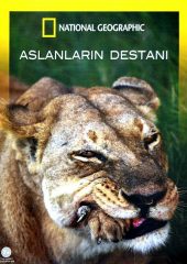 Aslanların Destanı Hd izle