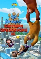 Ayı Kardeşler Kurtarma Operasyonu Hd izle