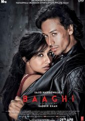 Baaghi Hd izle