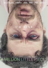 Bir Milyon Küçük Parça Hd izle