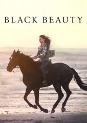 Black Beauty Hd izle