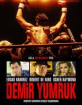 Demir Yumruk Hd izle