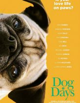 Dog Days Hd izle