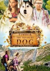 Harika Köpek Timber Hd izle