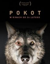 İz – Pokot Hd izle