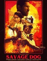 Kanunsuz Topraklarda Hd izle