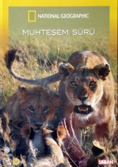 Muhteşem Sürü Hd izle