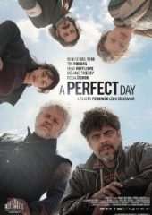 Mükemmel Bir Gün Hd izle