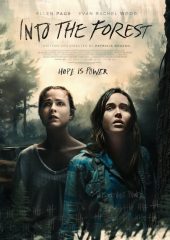 Ormana Doğru Hd izle