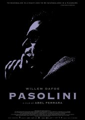 Pasolini Hd izle