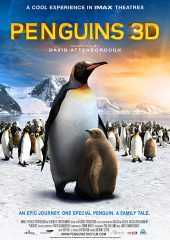 Penguen Kral Hd izle