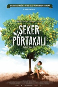 Şeker Portakalı Hd izle