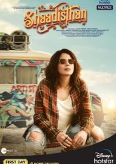 Shaadisthan Hd izle