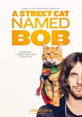 Sokak Kedisi Bob Hd izle