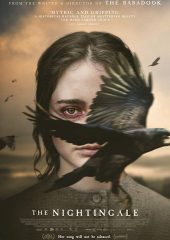 The Nightingale Hd izle