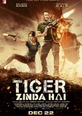 Tiger Zinda Hai Hd izle