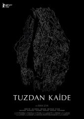 Tuzdan Kaide Hd izle