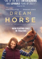 Dream Horse Hd izle