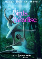 Birds of Paradise Hd izle