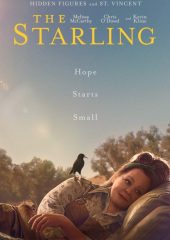 The Starling Hd izle