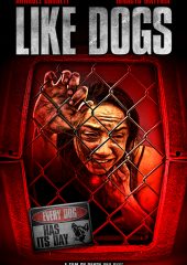 Like Dogs Hd izle