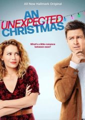 An Unexpected Christmas Hd izle