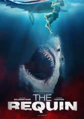 The Requin Hd izle